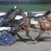 Two-hole trip does the trick for Maxim Hanover 2