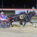Williams stable looking to end run of minor placings