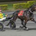 Brennan looking to create his own Albion Park history