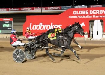 Bellezza Nera returns to form with Adelaide Cup success.