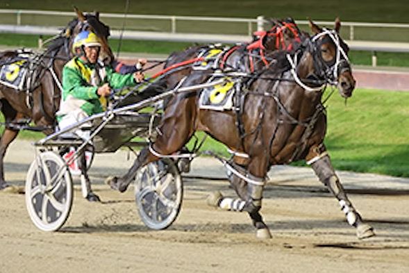 Addington double adds to a big week for Williamson 2