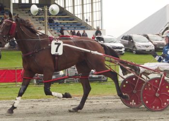 Supremacy should be a super contest