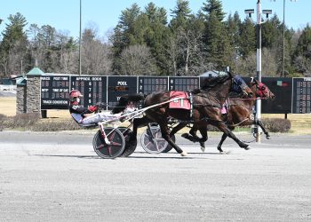 Saratoga Tuesday