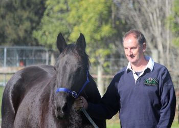 Wai Eyre Farm and the future