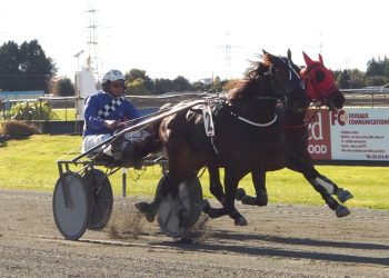 Duchess crowned in Southern Classic