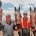 Garth Hoy a true harness racing stalwart