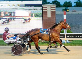 Cal Expo cards Vallandingham, Sire Stakes