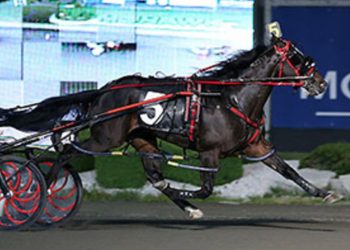 Game changers: Hes Watching