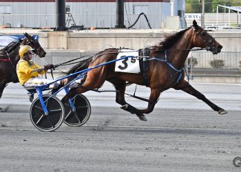 Incaseyoudidntknow, PD’s Gem Upset Headline Harrington Tuesday Card