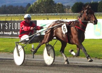 Dan does the business