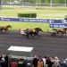 Kana de Beylev Wins Gr. II Prix Henri Levesque