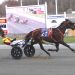Lazarus N gelding sizzles with fastest mile of the season 2