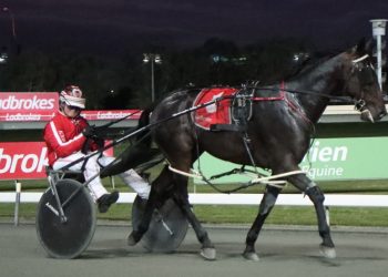 Luvbite strikes in upset win