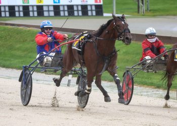 Moonshiner shows enough nip