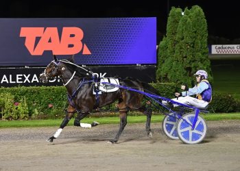 Marketplace blitzes Derby field, smashes record