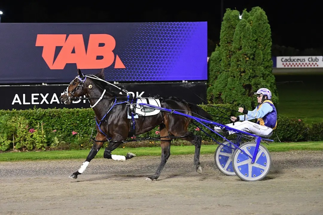 Marketplace blitzes Derby field, smashes record 1