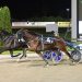Breckon Farms quinella trotting Derby 2 Breckon Farms quinella trotting Derby