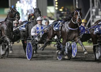 NZB graduates poised for Night of Champions