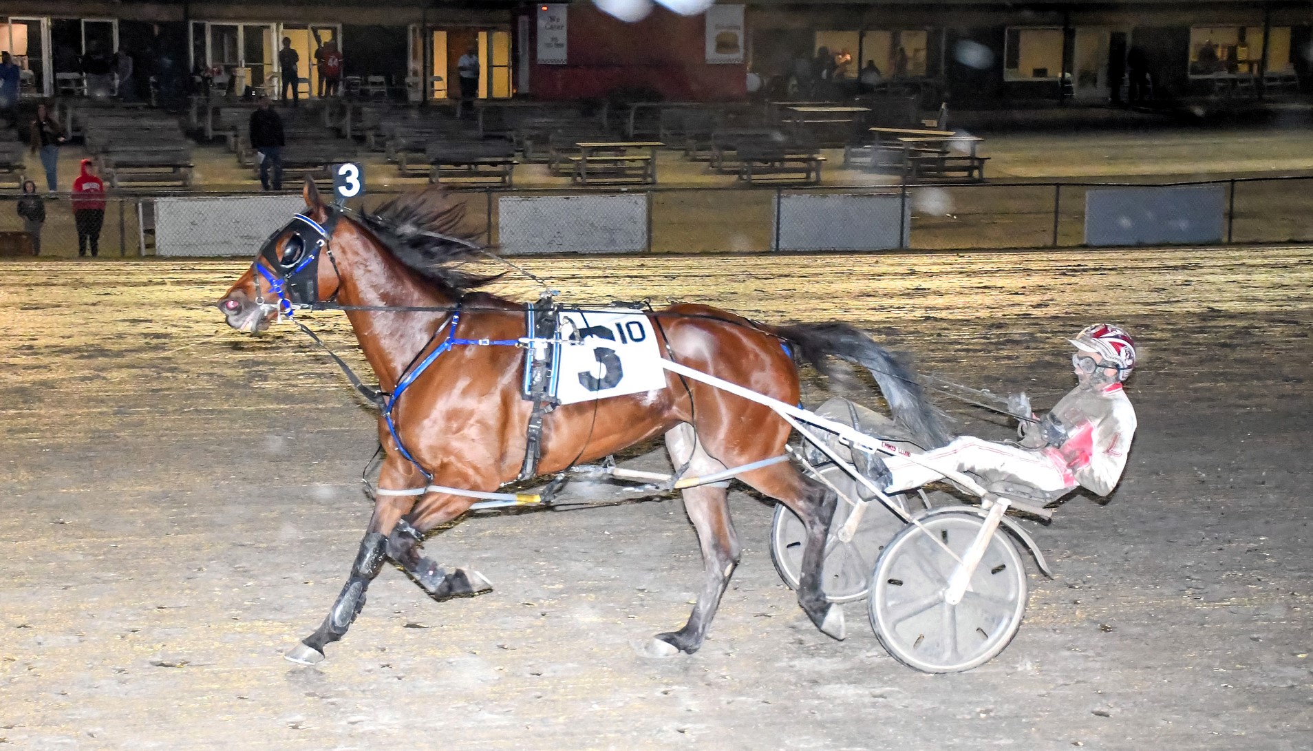 Quarrel wins feature on opening night 1