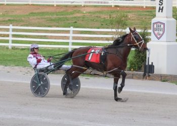 Seriously Feared repeats in amateur drivers