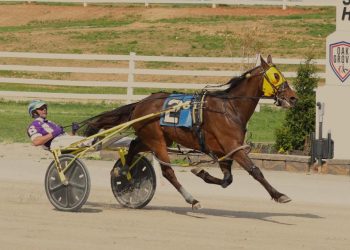Son of Always B Miki brave winning $30,000 Open
