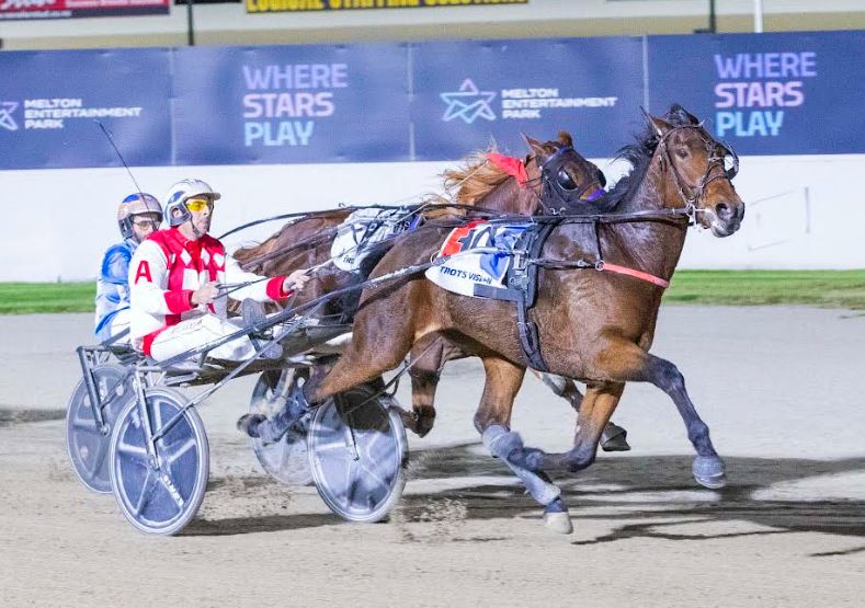 Weekly spotlight on breeding 6