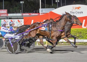 Wisper A Secret blitzes his rivals in breaking 1:50