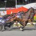Wisper A Secret blitzes his rivals in breaking 1:50
