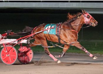 Chase H Hanover returns for shot at Battle of Lake Erie