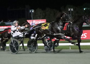 Grant Dixon’s new star youngster