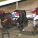 Craven masterclass wins Mildura Cup for Young Bluey
