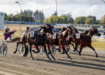 Bidding on 16 Lots ends tomorrow night