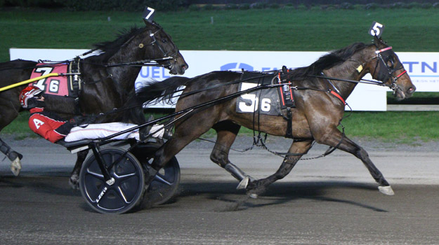 Cantab Hall gelding scores in $25,000 Trot 1