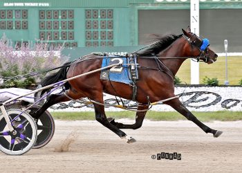 Lather Up filly seeks strong showing in Fifth Leg of OSS