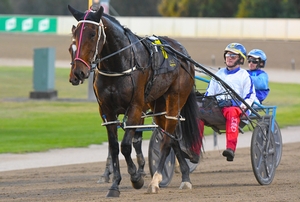 Lightly-raced pacer chasing incredible feat in $100,000 race
