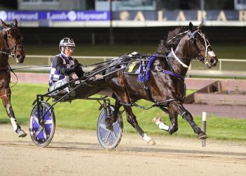 Allamericanplayer gets Group One revenge