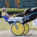 Verruso victorious in NAADA Trot
