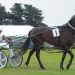 Hunter colours head to Addington