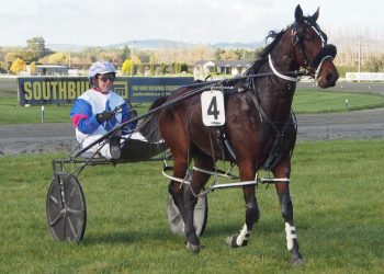 Beluga wins for Sloany