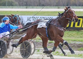 Hat-trick of wins for Hopes