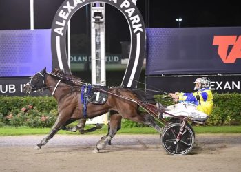 Fitting win for Bet N Win in big $200,000 trot