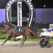 Fitting win for Bet N Win in big $200,000 trot