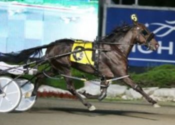 Game Changers: Bugger Bruiser