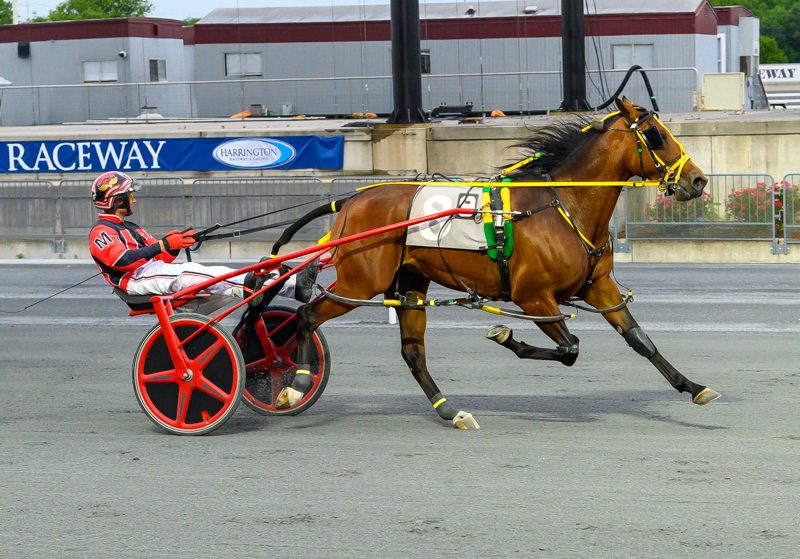 Teague gets a six win bag 1