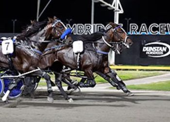 Les White hoping to go back-to-back