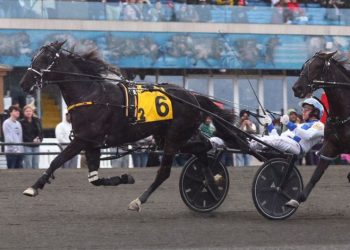 Horse of the Year returns to win $133,512 SBOA Stakes