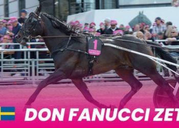Don Fanucci Zet tenth horse ready for this year’s Elitloppet