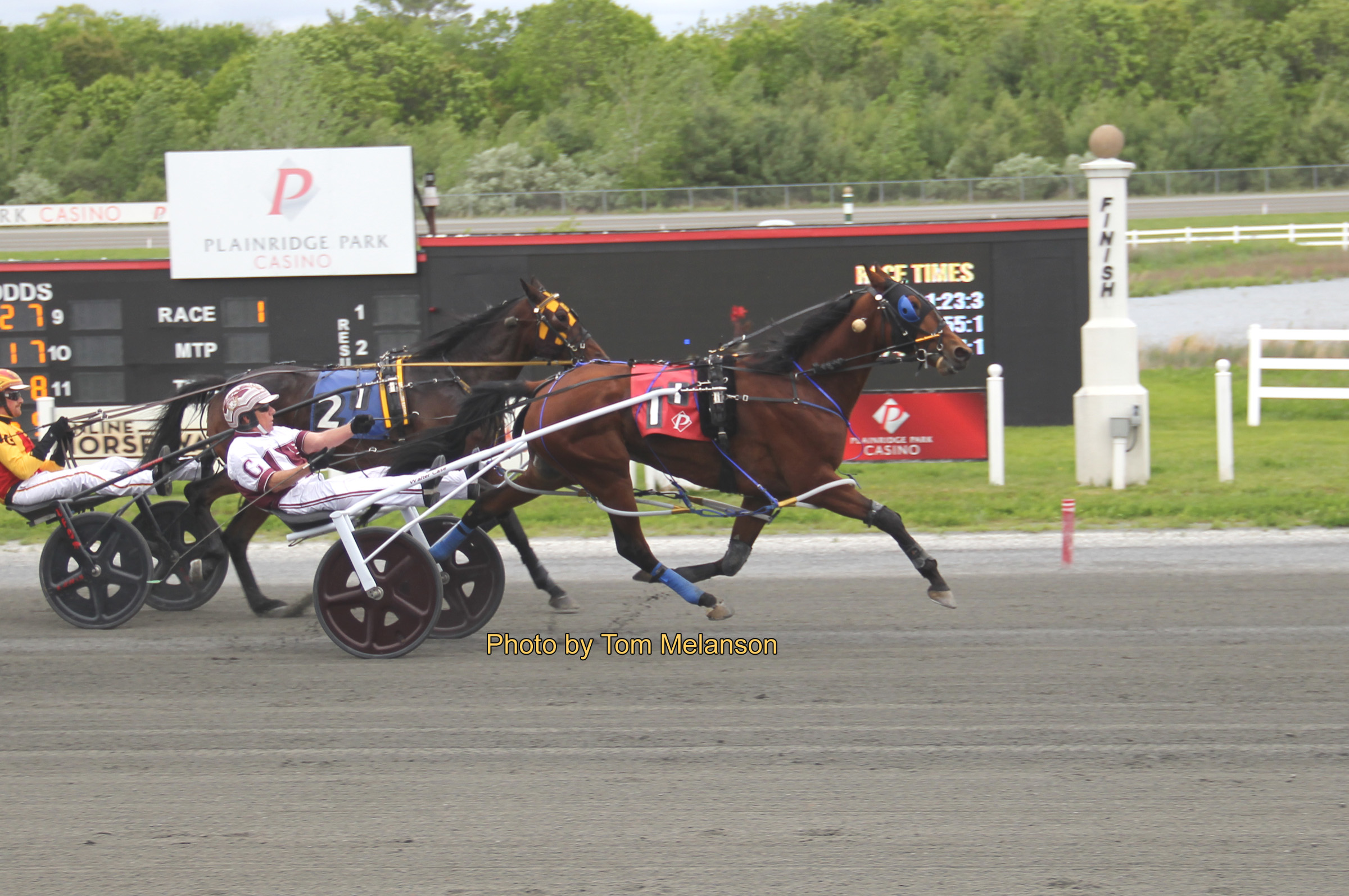 Walter Case Jr dominates $16,000 paces 1