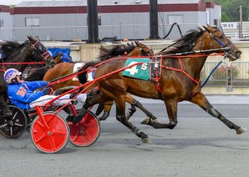 Every Day Dan wins Open Trot