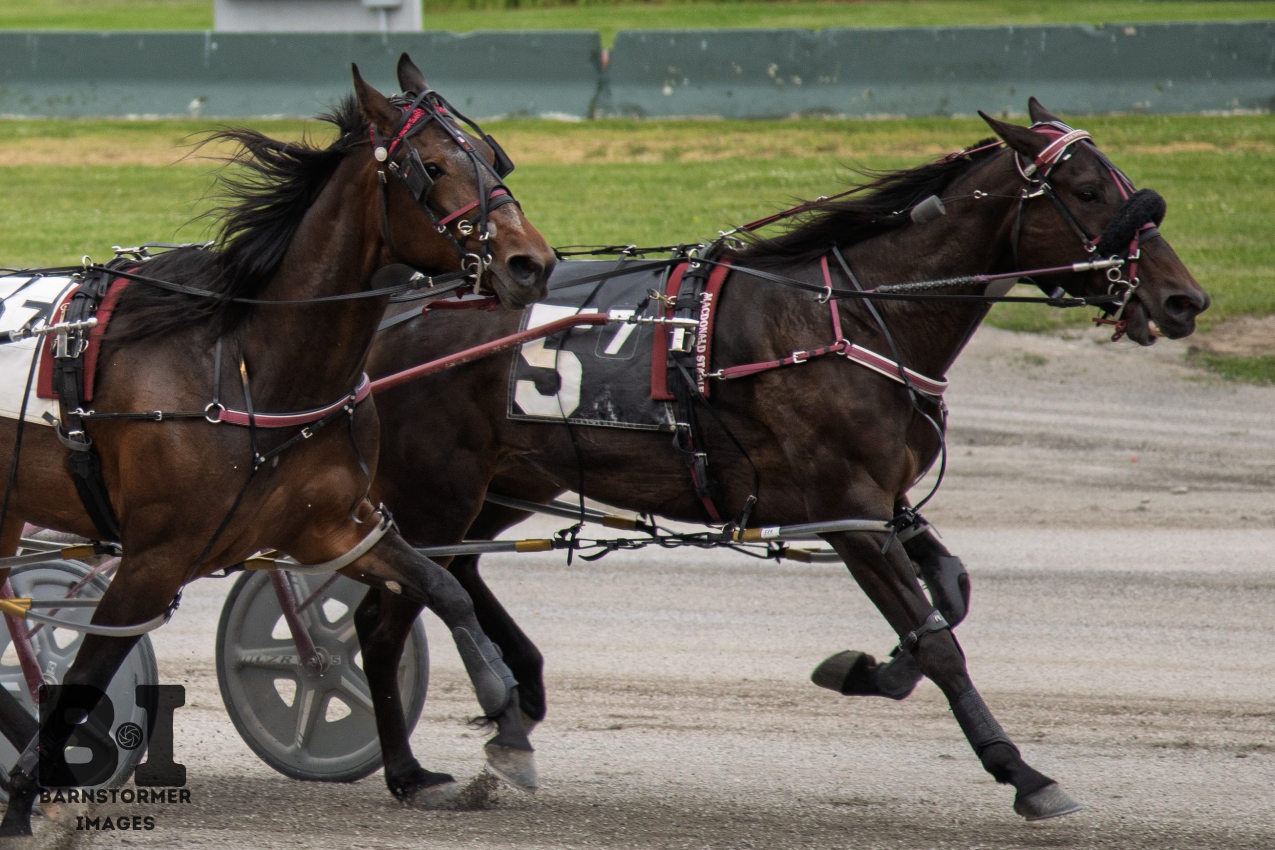 Big Baller Beane wires field for upset win 2